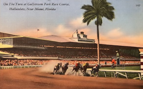Race horses postcard2