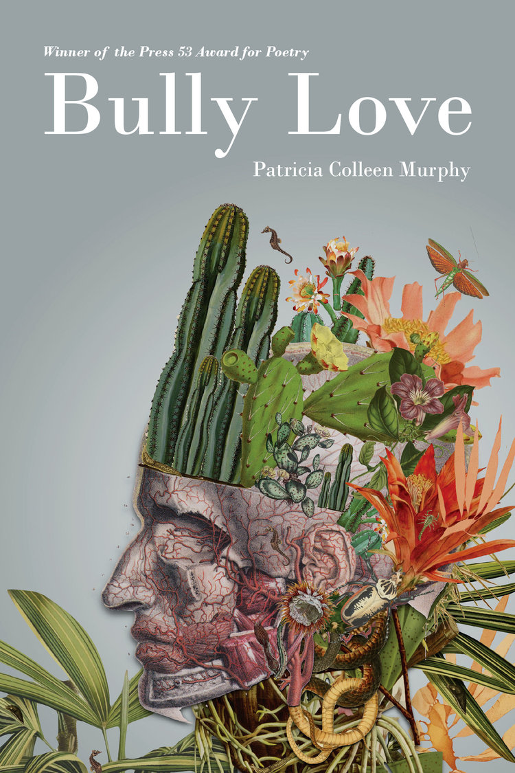 Bully Love by Patricia Colleen Murphy book cover